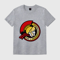 Футболка хлопковая мужская HC Ottawa Senators Alternative, цвет: меланж