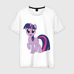 Мужская футболка Пони Сумеречная Искорка