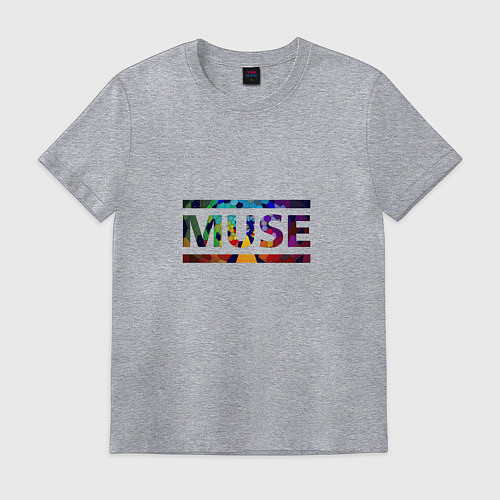 Мужская футболка Muse Colour / Меланж – фото 1