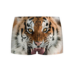 Трусы-боксеры мужские Свирепый тигр, цвет: 3D-принт