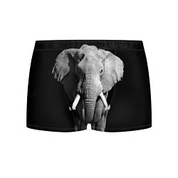 Трусы-боксеры мужские Старый слон цвета 3D-принт — фото 1