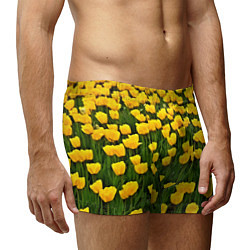 Трусы-боксеры мужские Жёлтые тюльпаны, цвет: 3D-принт — фото 2