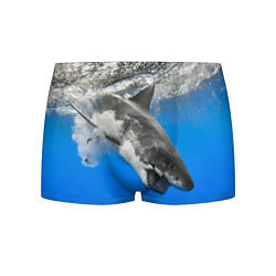 Трусы-боксеры мужские Акула под водой цвета 3D-принт — фото 1