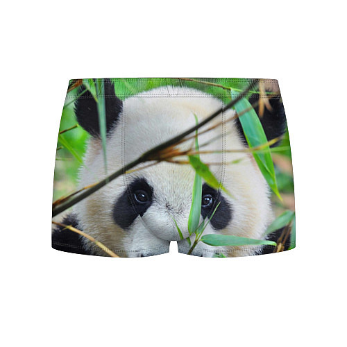 Мужские трусы Панда в лесу / 3D-принт – фото 1