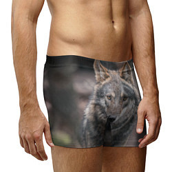 Трусы-боксеры мужские Волк - санитар леса, цвет: 3D-принт — фото 2