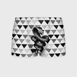 Трусы-боксеры мужские Snake Geometric, цвет: 3D-принт