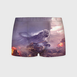 Мужские трусы Танк