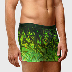 Трусы-боксеры мужские ТРАВА TRAVA, цвет: 3D-принт — фото 2
