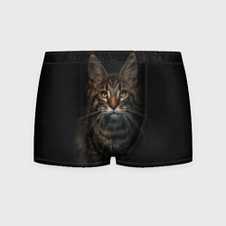 Трусы-боксеры мужские Кот усатый, цвет: 3D-принт
