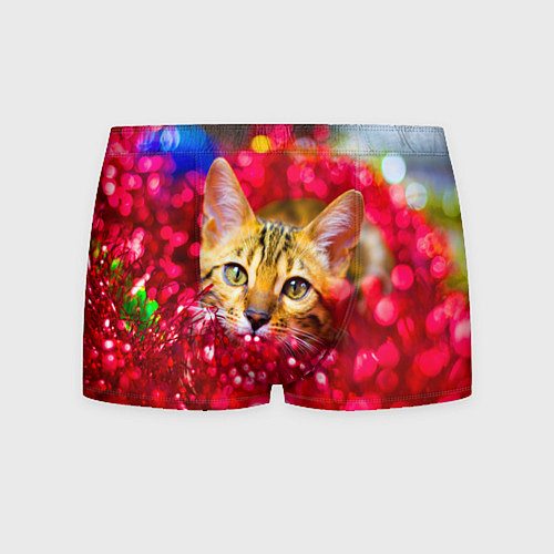 Мужские трусы КОТИК / 3D-принт – фото 1