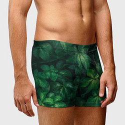 Трусы-боксеры мужские Тропическая листва Тропики Z, цвет: 3D-принт — фото 2