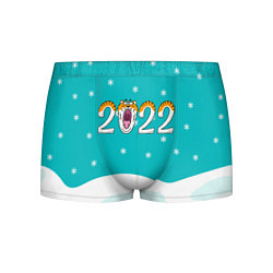 Трусы-боксеры мужские Надпись 2022 Новый год, цвет: 3D-принт