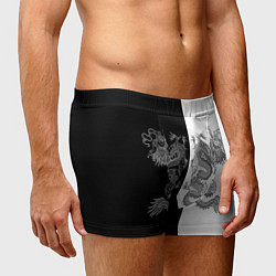 Трусы-боксеры мужские Double Dragon Дракон Чб, цвет: 3D-принт — фото 2