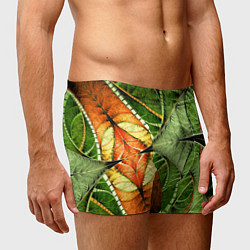 Трусы-боксеры мужские Растительный абстрактный фрактальный паттерн Veget, цвет: 3D-принт — фото 2
