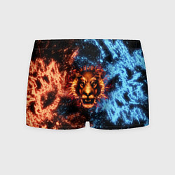 Мужские трусы Огонь и вода - лев
