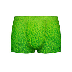 Трусы-боксеры мужские Трава зеленая, цвет: 3D-принт