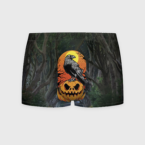 Мужские трусы Ворон, сидящий на тыкве - Halloween / 3D-принт – фото 1