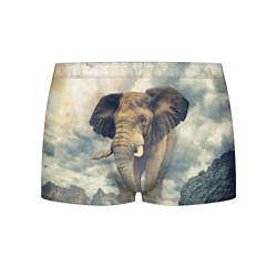 Трусы-боксеры мужские Гигантский слон, цвет: 3D-принт