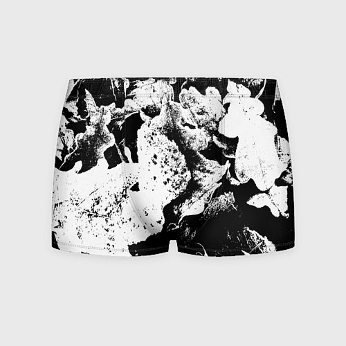 Мужские трусы Листья черно-белое / 3D-принт – фото 1