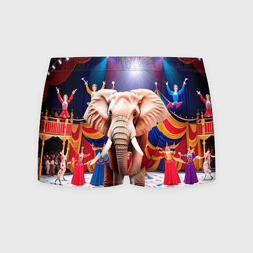 Мужские трусы Слон с цирке / 3D-принт – фото 1