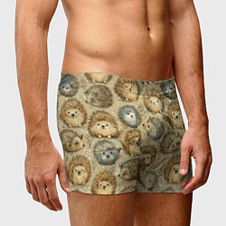 Трусы-боксеры мужские Паттерн лесной ежик, цвет: 3D-принт — фото 2