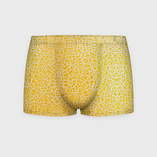 Мужские трусы Дыня текстура / 3D-принт – фото 1