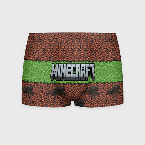 Мужские трусы Minecraft logo with spider / 3D-принт – фото 1