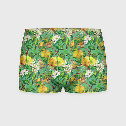 Мужские трусы Груши и птицы / 3D-принт – фото 1