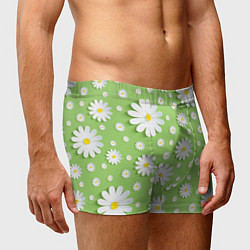 Трусы-боксеры мужские Ромашки бумажные, цвет: 3D-принт — фото 2