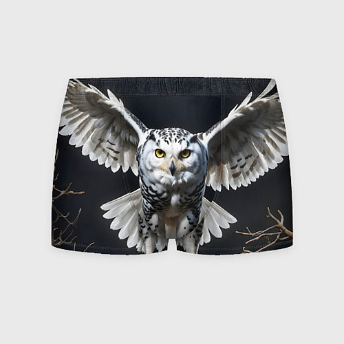 Мужские трусы Белая сова на темном фоне / 3D-принт – фото 1