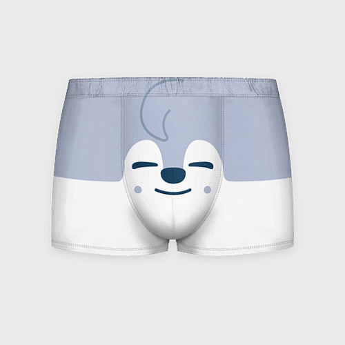 Мужские трусы Wolf Chan skzoo / 3D-принт – фото 1