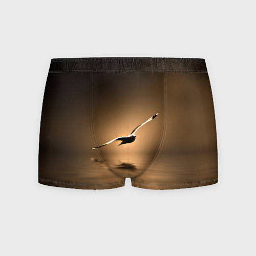 Мужские трусы Летящая птица / 3D-принт – фото 1