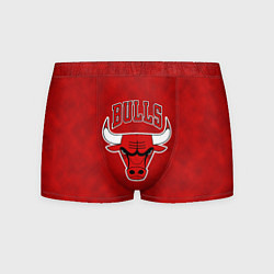 Мужские трусы NBA Chicago Bulls