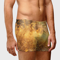 Трусы-боксеры мужские Золотые лучи солнца на рассвете, цвет: 3D-принт — фото 2