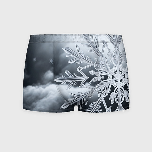 Мужские трусы Снежинка на черно белое / 3D-принт – фото 1