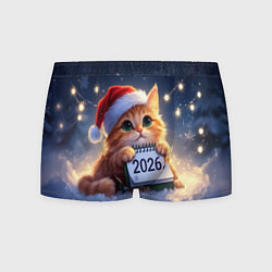 Мужские трусы Кот который ждет новый год