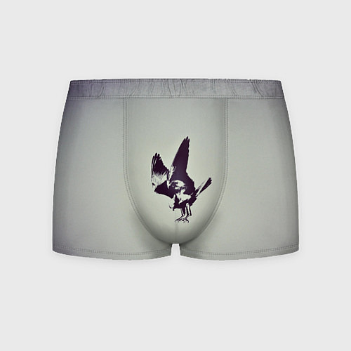 Мужские трусы Атакующий ястреб / 3D-принт – фото 1