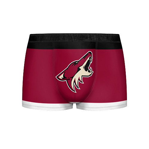 Мужские трусы Arizona Coyotes / 3D-принт – фото 1