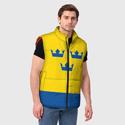 Мужской жилет Сборная Швеции: домашняя форма, цвет: 3D-красный — фото 2