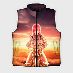 Мужской жилет Fairy Tail