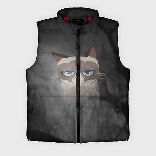 Мужской жилет Grumpy Cat / 3D-Красный – фото 1