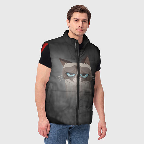 Мужской жилет Grumpy Cat / 3D-Красный – фото 3