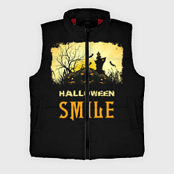Мужской жилет Smile