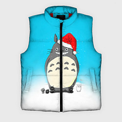 Мужской жилет Тоторо под снегом, цвет: 3D-красный