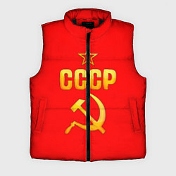 Мужской жилет СССР, цвет: 3D-черный