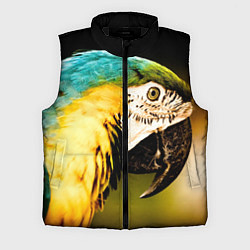 Мужской жилет Улыбка попугая, цвет: 3D-черный