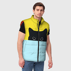Мужской жилет Черный кот выглядывает, цвет: 3D-красный — фото 2