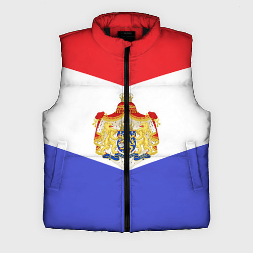 Мужской жилет Флаг и герб Голландии / 3D-Черный – фото 1