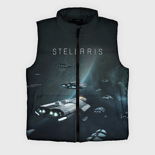 Мужской жилет Stellaris / 3D-Черный – фото 1
