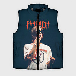 Мужской жилет Pharaoh, цвет: 3D-светло-серый